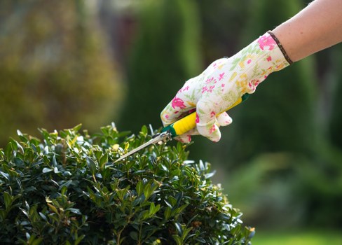 Gardener reviewing safety procedures before starting outdoor work