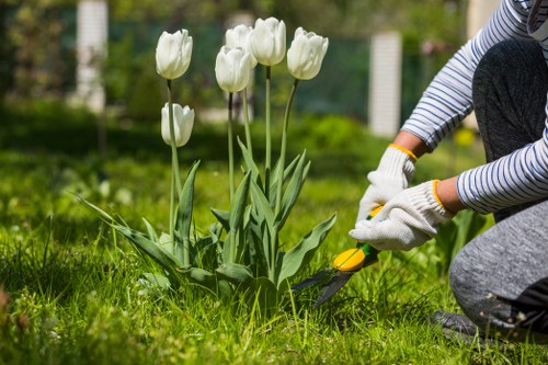 Evergreen hedge shaping and maintenance in Queensbury