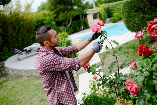 Lawn mowing in Queensbury with a neatly cut residential yard
