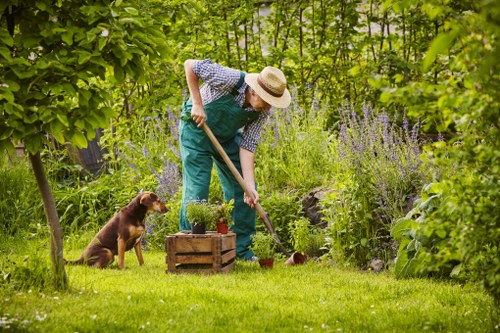 Queensbury garden care with healthy plants and well-kept borders