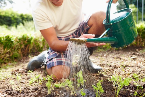 Professional Queensbury gardeners supporting healthy, tidy garden spaces