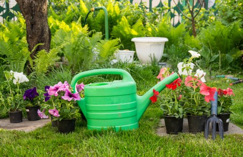 Residential gardening in Queensbury with seasonal planting and border care