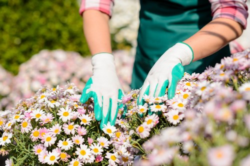 Free quote policy for local gardeners in Queensbury