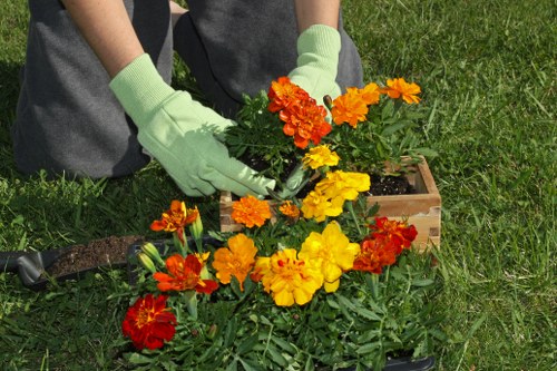 Professional patio cleaning equipment restoring outdoor paving in Queensbury