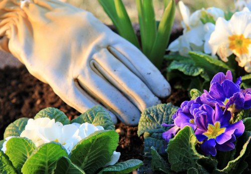 Local garden maintenance in Queensbury with lawns and borders