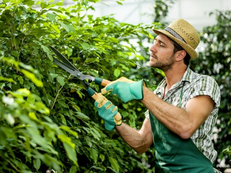Seasonal garden maintenance in Queensbury with shrubs and flower beds