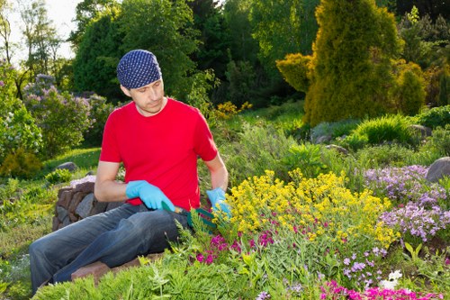 Professional mowing and edging for a Queensbury yard