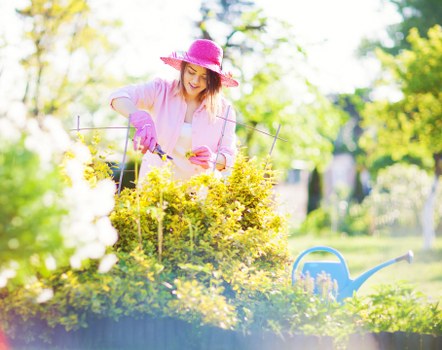 Gardeners in Queensbury focusing on seasonal outdoor upkeep