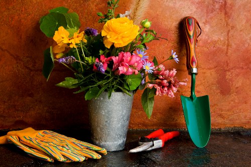 Image representing keyboard accessible Queensbury garden content