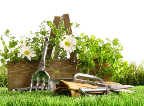 Responsible waste separation and recycling for Queensbury gardening projects