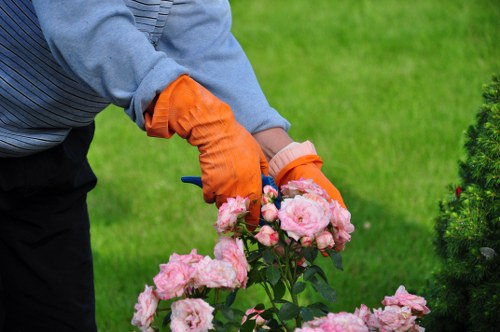 Professional tree pruning and removal in Queensbury