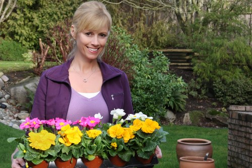 Commercial gardening services in Queensbury keeping outdoor areas clean and attractive