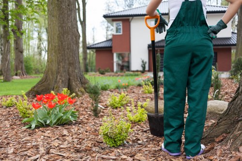 Professional garden clearance in Queensbury removing overgrown shrubs