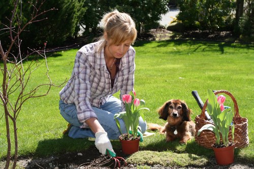 Lawn care and weed control for garden maintenance in Queensbury