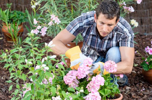 Queensbury gardeners creating a balanced and attractive outdoor space