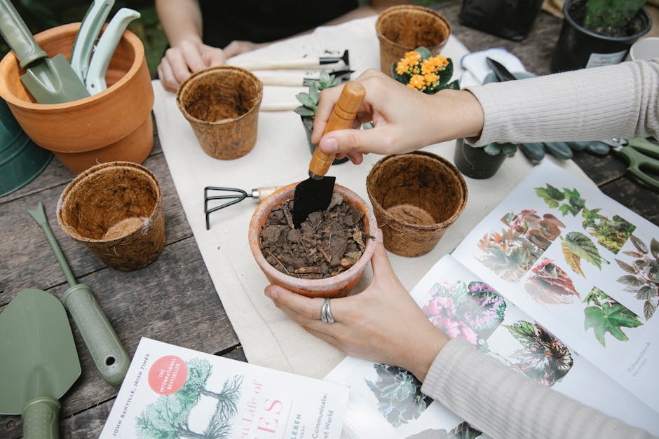 A person is engaging in gardening activities at a wooden outdoor table, planting or repotting a plant into a small terracotta pot filled with soil and organic matter. Surrounding the person are variou