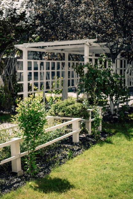 A neatly maintained garden features a white wooden fence bordering a flower bed with small, lush green shrubs and young trees. Behind the fence, there is a white wooden pergola with a slatted roof, pr